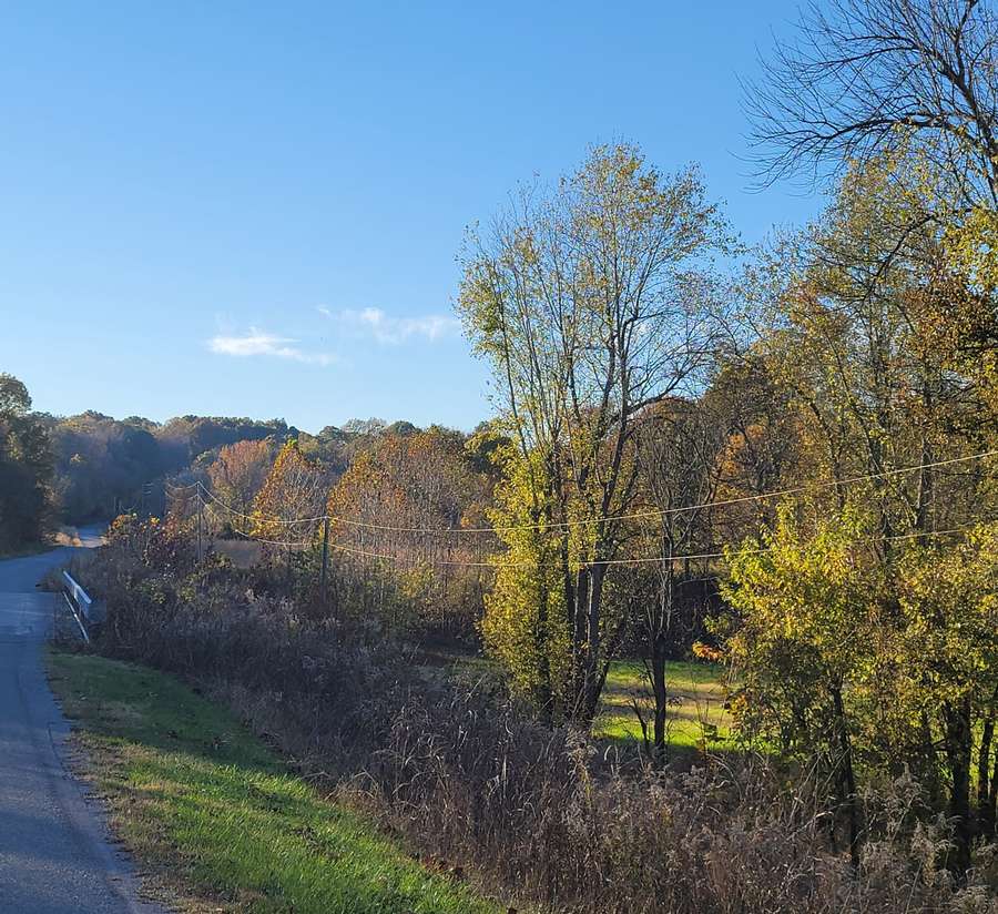 Bottom Land Road.jpg
